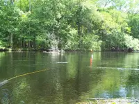 100_3293.webp