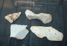 rocks2 001.webp