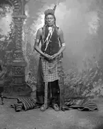 Old Crow - Crow - circa 1885.webp