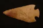 snyder69.webp