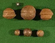 Moquiball.webp