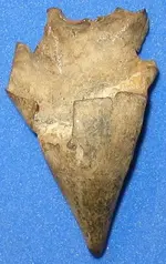 Triangle2.webp