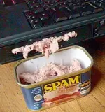 spam.webp