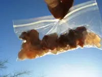 blimp 019.webp