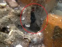 encrusted bottle 03.webp
