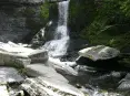 avatar_49031.webp