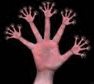 avatar_43264.gif