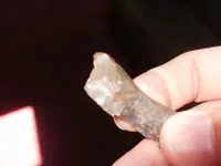 flint7.webp