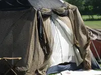 Gypsy.webp