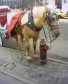 hydrant.webp