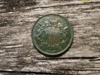 Texas,coins,javelina 033.webp