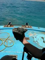 IMG00122-20100616-1326.webp