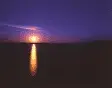 avatar_21634.webp