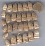 airport bullets.webp