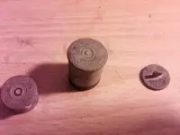shells.webp