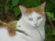 avatar_20011.webp
