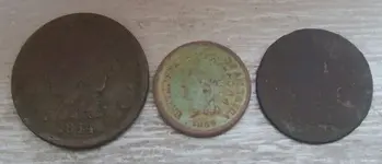 fronts lc indian half.webp
