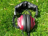 DSCN$49.99.webp