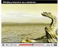 dragon.webp