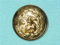 button illionois state seal 2.webp button illionois state seal 2.webp