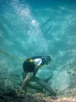 Dom flipping rocks.webp