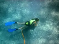 Yvonne on the bottom.webp