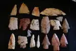 field finds 5-14-10.webp