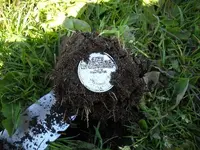 DSCN1071.webp