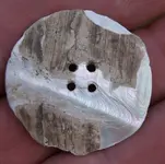 Shell 2.webp