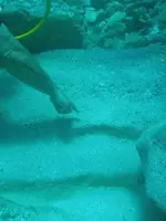waves carved into rock.webp