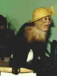avatar_26618.webp