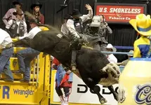 bullriding.webp