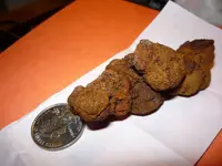 petrified turd 002.webp