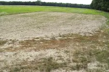 100_2257.webp