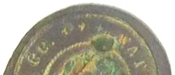 button back stars.webp