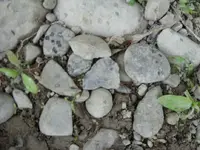 tool in situ.webp