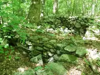 MAY 30th CELLAR HOLES with RON 005 [].webp