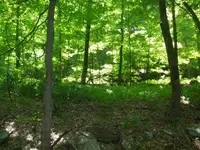MAY 30th CELLAR HOLES with RON 002 [].webp