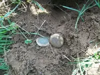 MAY 30th CELLAR HOLES with RON 006 [].webp