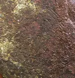 P4260001b.webp