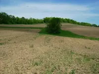 5-15-10 site.webp