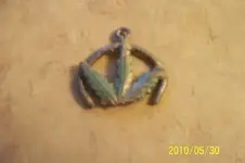 clints pics 007.webp