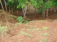 20100506_23.webp