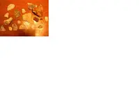 resize30.webp