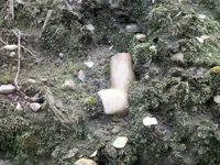 Pipe01.webp