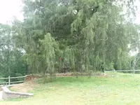 2010_0515Oldhomesite0078.webp