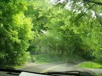 2010_0515Oldhomesite0094.webp