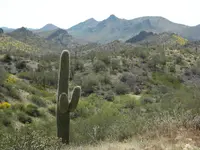 DSCN0311.webp