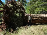DSCN0519.webp