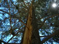 DSCN0527.webp
